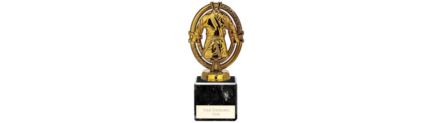 MAVERICK LEGEND MARTIAL ARTS LEGEND TROPHY - 5 SIZES - 12.5CM - 20CM MAVERICK LEGEND MARTIAL ARTS LEGEND TROPHY - 5 SIZES - 12.5CM - 20CM